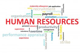 Human Resources
