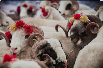 Eid al-Adha (Feast of Sacrifice) holiday is extended to 9 days from June 15th